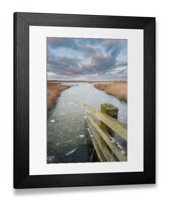 Framed Print : Cattle fence and frozen flooded ditch in coastal grazing marsh at sunset, Elmley Marshes N. N. R Framed Print : Cattle fence and frozen flooded ditch in coastal grazing marsh at sunset, Elmley Marshes N. N. R