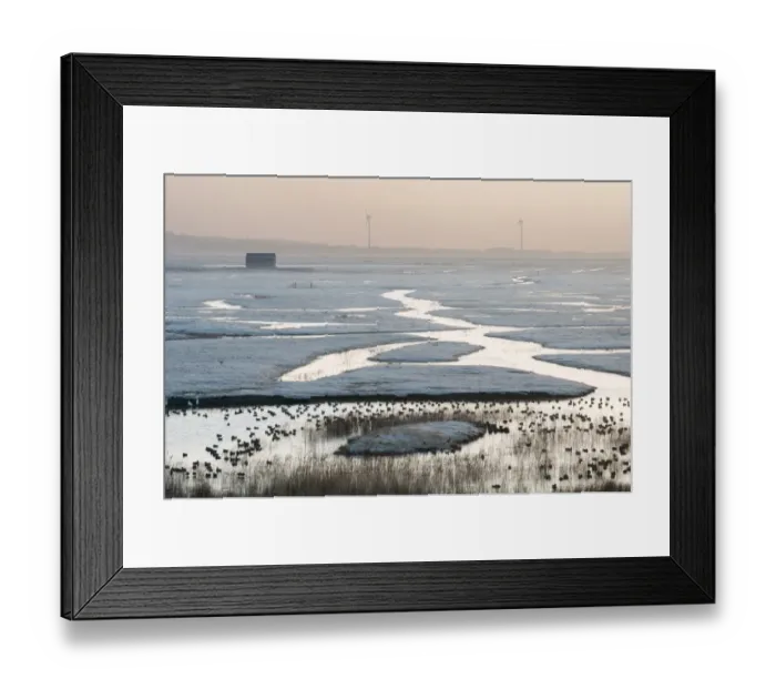Framed Print : View of frost covered flooded coastal grazing marsh marsh habitat with ducks at sunrise Framed Print : View of frost covered flooded coastal grazing marsh marsh habitat with ducks at sunrise