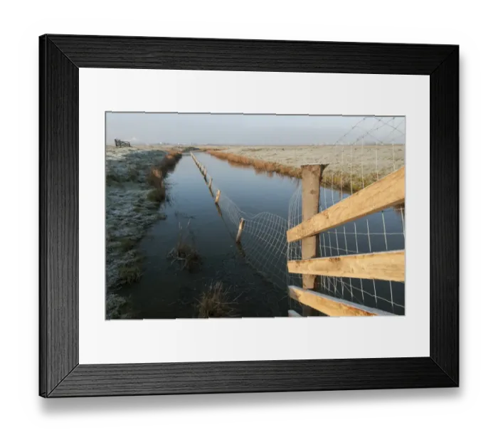 Framed Print : Predator control fence on reserve, Elmley Marshes N. N. R. North Kent Marshes, Isle of Sheppey, Kent, England, March Framed Print : Predator control fence on reserve, Elmley Marshes N. N. R. North Kent Marshes, Isle of Sheppey, Kent, England, March