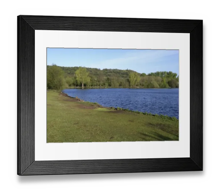 Framed Print : View of freshwater lake habitat, Westport Lake, Staffordshire Wildlife Trust Reserve, Longport, Stoke-on-Trent Framed Print : View of freshwater lake habitat, Westport Lake, Staffordshire Wildlife Trust Reserve, Longport, Stoke-on-Trent