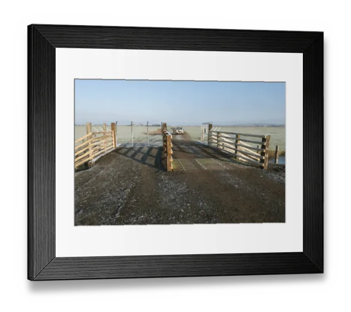 Framed Print : Predator control gate and fence on reserve, Elmley Marshes N. N. R. North Kent Marshes, Isle of Sheppey, Kent, England Framed Print : Predator control gate and fence on reserve, Elmley Marshes N. N. R. North Kent Marshes, Isle of Sheppey, Kent, England