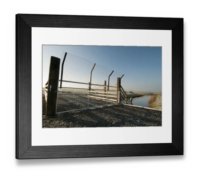 Framed Print : Predator control gate and fence on reserve, Elmley Marshes N. N. R. North Kent Marshes, Isle of Sheppey, Kent, England