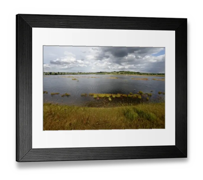 Framed Print : View of flooded former gravel quarry habitat, Middleton Lakes RSPB Reserve, Middleton, Warwickshire, England, July Framed Print : View of flooded former gravel quarry habitat, Middleton Lakes RSPB Reserve, Middleton, Warwickshire, England, July