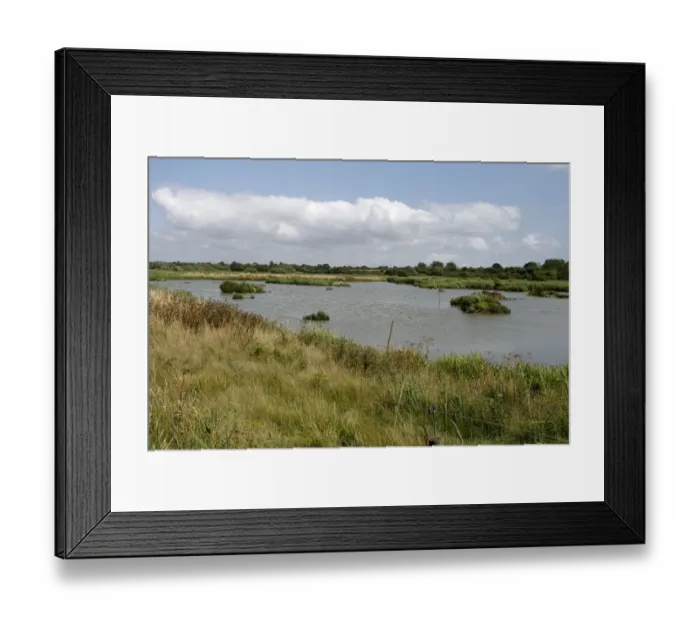 Framed Print : View of open water at wetland reserve, Titchfield Haven National Nature Reserve, Hampshire, England, August Framed Print : View of open water at wetland reserve, Titchfield Haven National Nature Reserve, Hampshire, England, August