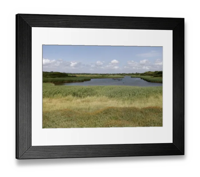 Framed Print : View of reedbeds and open water at wetland reserve, Titchfield Haven National Nature Reserve, Hampshire, England Framed Print : View of reedbeds and open water at wetland reserve, Titchfield Haven National Nature Reserve, Hampshire, England