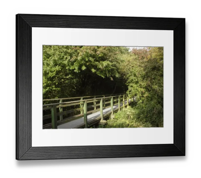 Framed Print : View of raised wooden walkway, Fairburn Ings RSPB Nature Reserve, West Yorkshire, England, September Framed Print : View of raised wooden walkway, Fairburn Ings RSPB Nature Reserve, West Yorkshire, England, September