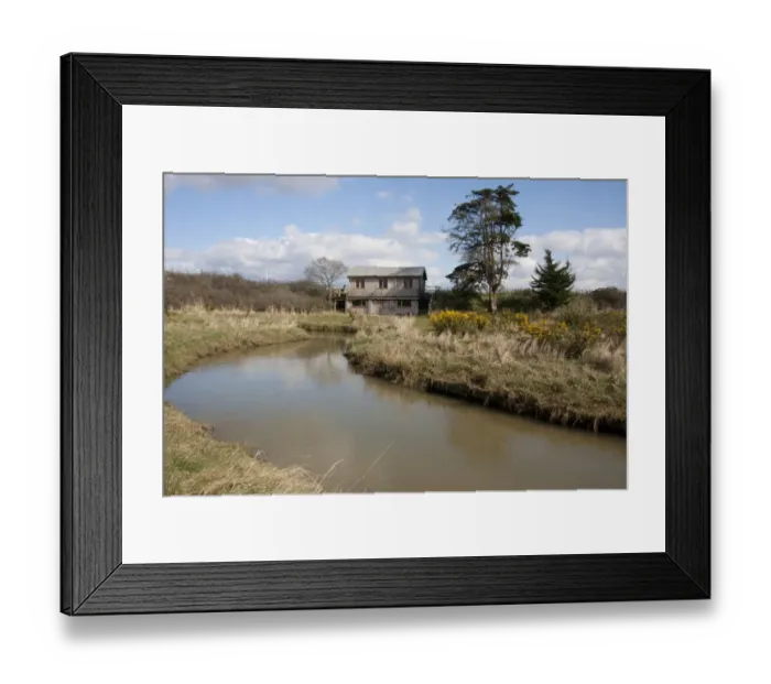 Framed Print : View of coastal freshwater wetland habitat, West Witterings Nature Reserve, West Wittering, Manhood Peninsula