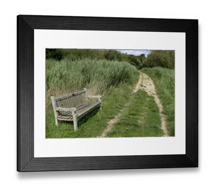 Framed Print : Bench and pathway at wetland reserve, Titchfield Haven National Nature Reserve, Hampshire, England, August