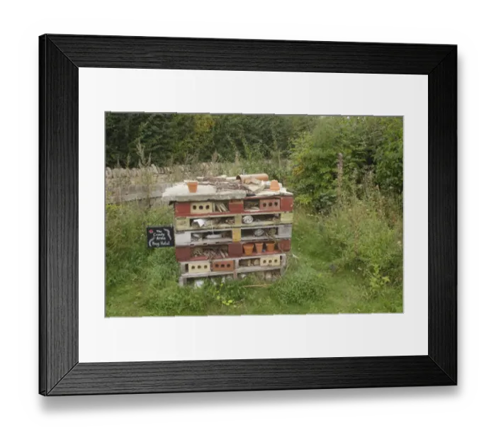 Framed Print : Bug Hotel artificial site created for invertebrates, Fairburn Ings RSPB Nature Reserve, West Yorkshire, England Framed Print : Bug Hotel artificial site created for invertebrates, Fairburn Ings RSPB Nature Reserve, West Yorkshire, England