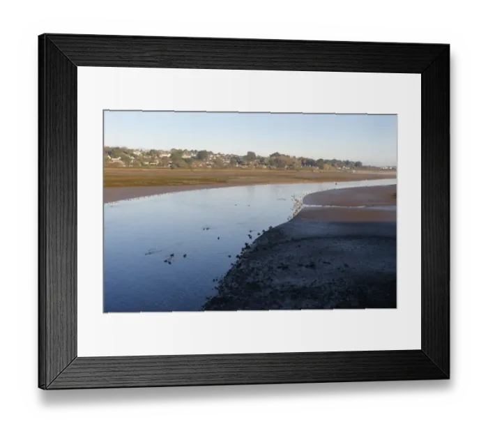Framed Print : View of estuary habitat with ducks and mudflats at low tide, Hayle Estuary RSPB Reserve, Cornwall, England, November Framed Print : View of estuary habitat with ducks and mudflats at low tide, Hayle Estuary RSPB Reserve, Cornwall, England, November