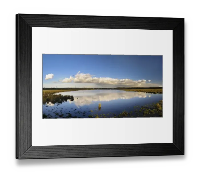 Framed Print : View of open water in wetland habitat, Fairburn Ings RSPB Reserve, West Yorkshire, England, November Framed Print : View of open water in wetland habitat, Fairburn Ings RSPB Reserve, West Yorkshire, England, November