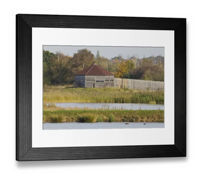 Framed Print : Birdwatching hide overlooking reedbed and wetland habitat, Potteric Carr Nature Reserve, South Yorkshire, England Framed Print : Birdwatching hide overlooking reedbed and wetland habitat, Potteric Carr Nature Reserve, South Yorkshire, England