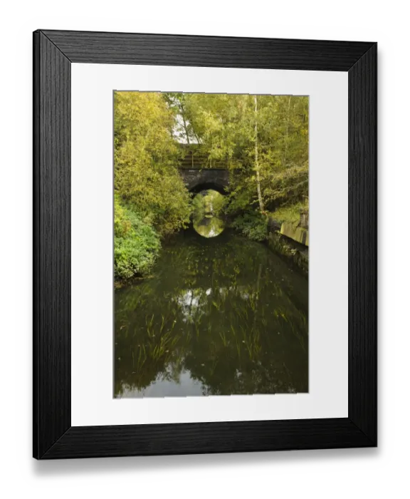 Framed Print : Waterway flowing under railway bridges, Mother Drain, Potteric Carr Nature Reserve, South Yorkshire, England, October