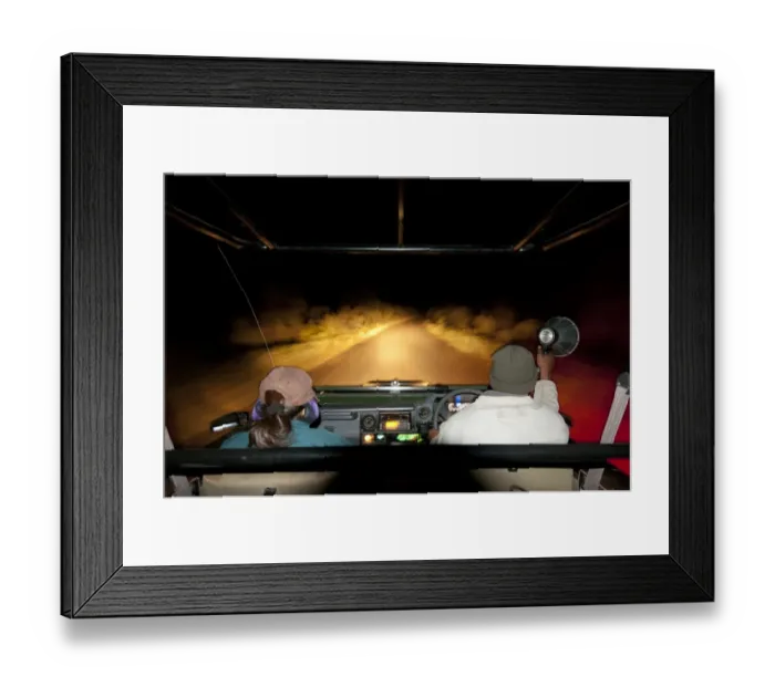 Framed Print : Tourist being driven in game drive vehicle by ranger with torch on night drive, Kruger N. P Framed Print : Tourist being driven in game drive vehicle by ranger with torch on night drive, Kruger N. P