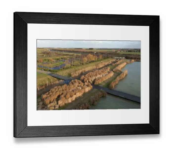 Framed Print : View of wetland habitat at edge of motorway, Baie de Somme Services Nature Reserve, A16 Motorway, Baie de Somme Framed Print : View of wetland habitat at edge of motorway, Baie de Somme Services Nature Reserve, A16 Motorway, Baie de Somme