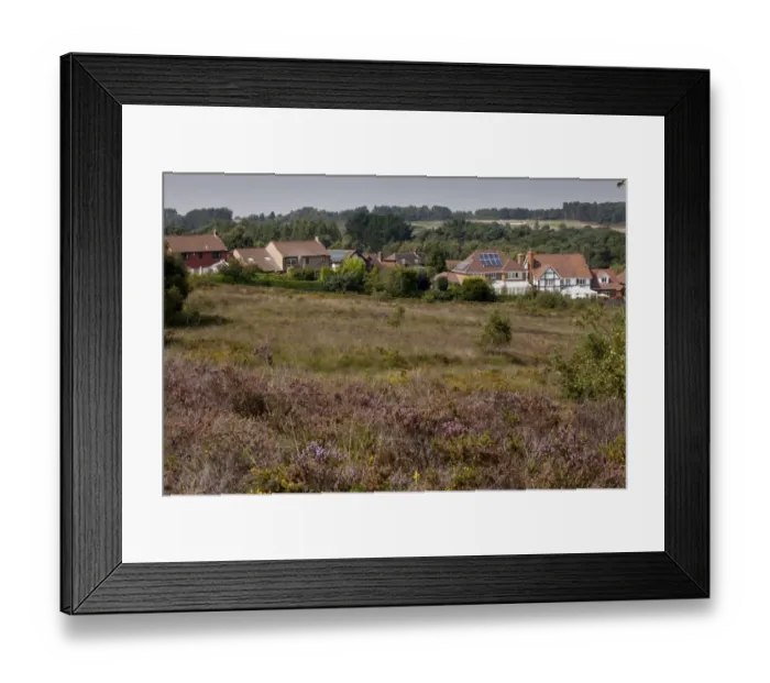 Framed Print : Housing development along edge of internationally important heathland habitat, Dunyeats Hill Nature Reserve Framed Print : Housing development along edge of internationally important heathland habitat, Dunyeats Hill Nature Reserve