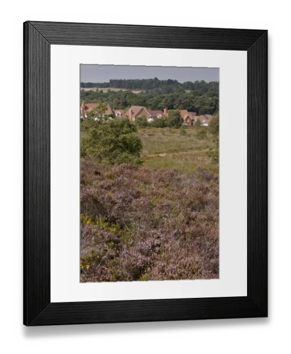 Framed Print : Housing development along edge of internationally important heathland habitat, Dunyeats Hill Nature Reserve