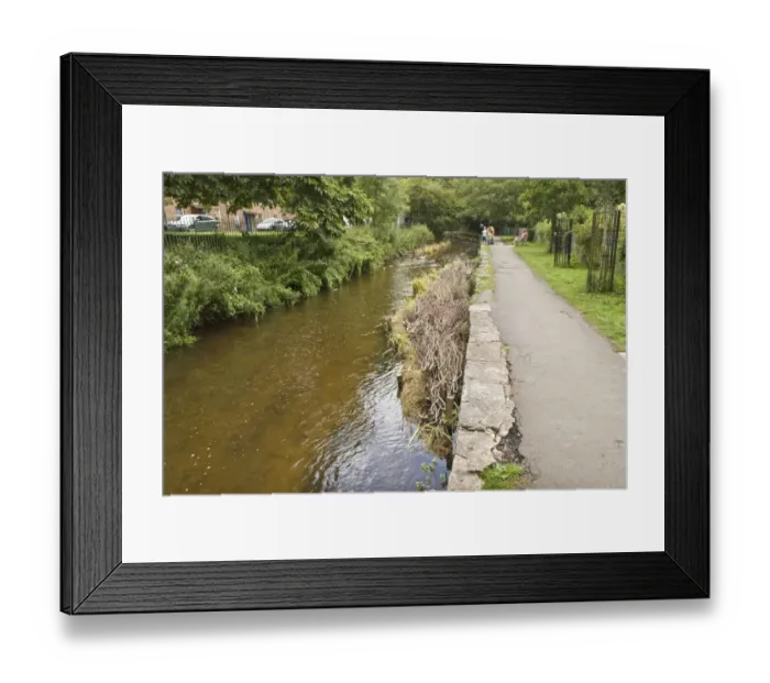 Framed Print : River narrowing deflectors to increase stream velocity, Mill Stream, Dorchester, Dorset, England, August Framed Print : River narrowing deflectors to increase stream velocity, Mill Stream, Dorchester, Dorset, England, August