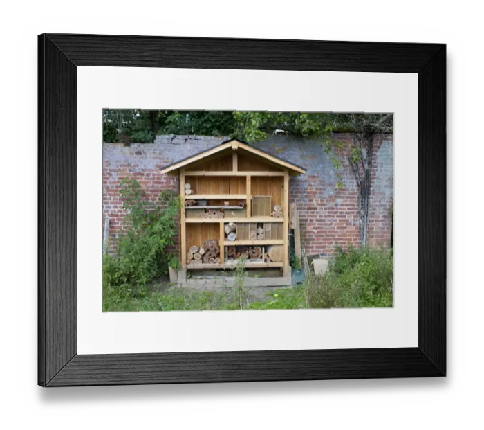 Framed Print : Insect hotel built to attract bees, partly filled, Preston Montford Field Centre, Shropshire, England, August