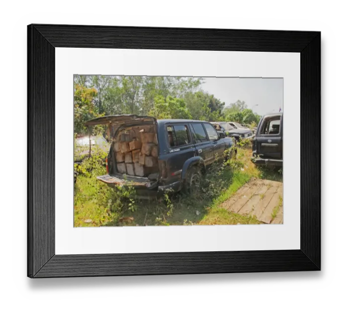 Framed Print : Illegal logging, impounded cars with illegally cut wood, Seima Protected Forest, Cambodia, January Framed Print : Illegal logging, impounded cars with illegally cut wood, Seima Protected Forest, Cambodia, January