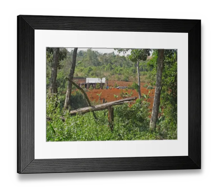 Framed Print : New farm in forest after recent clearance, Dakdam Highland, Cambodia, January