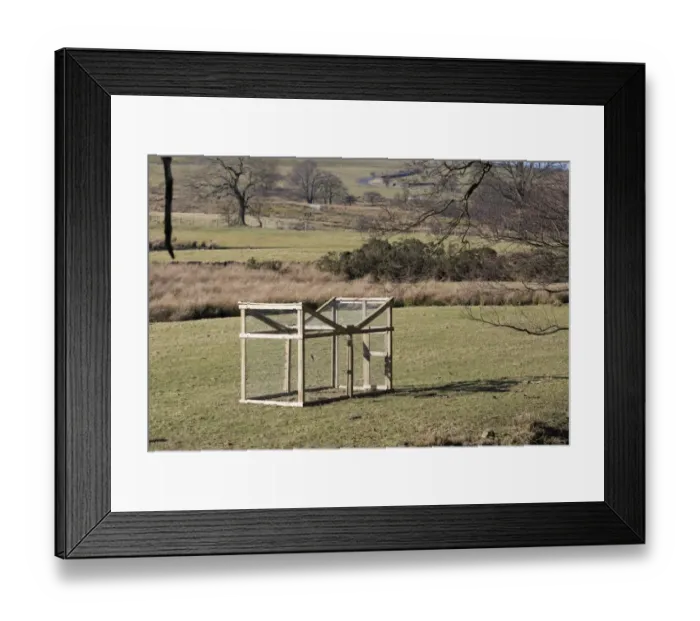 Framed Print : Larsen trap, corvid pest control on farmland, near Marshaw, Abbeystead, Forest of Bowland, Lancashire, England Framed Print : Larsen trap, corvid pest control on farmland, near Marshaw, Abbeystead, Forest of Bowland, Lancashire, England