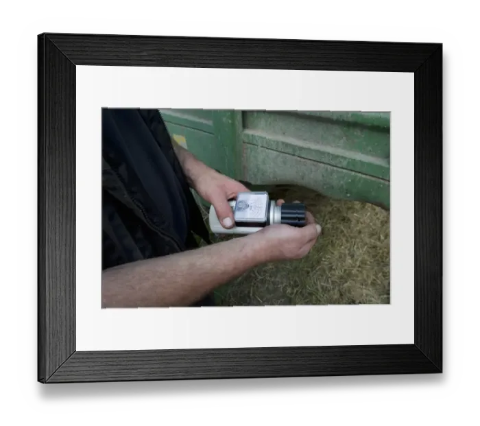 Framed Print : Barley (Hordeum vulgare) crop, farmer testing harvested grain with moisture tester, Sweden, september Framed Print : Barley (Hordeum vulgare) crop, farmer testing harvested grain with moisture tester, Sweden, september