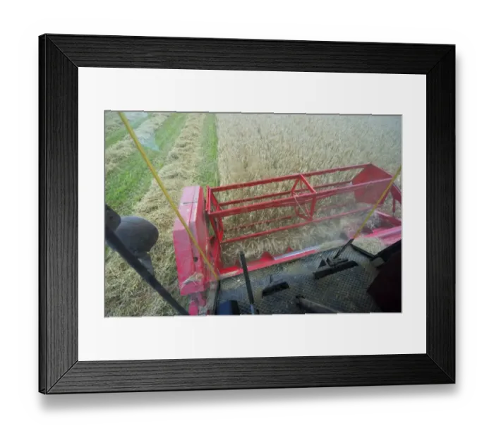 Framed Print : Barley (Hordeum vulgare) crop, interior of combine harvester cab, harvesting ripe field, Sweden, september Framed Print : Barley (Hordeum vulgare) crop, interior of combine harvester cab, harvesting ripe field, Sweden, september
