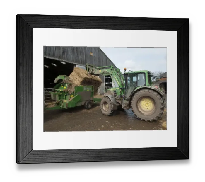 Framed Print : Cattle farming, tractor loading bale of straw into straw chopper used to bed cattle pens, Northumberland, England, May Framed Print : Cattle farming, tractor loading bale of straw into straw chopper used to bed cattle pens, Northumberland, England, May