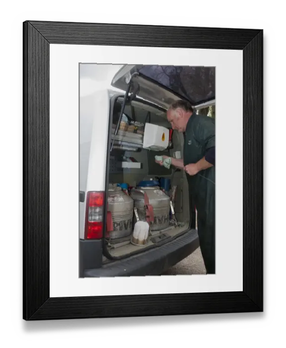 Framed Print : Cattle farming, artificial insemination technician preparing semen for cow in back of van, England, May Framed Print : Cattle farming, artificial insemination technician preparing semen for cow in back of van, England, May
