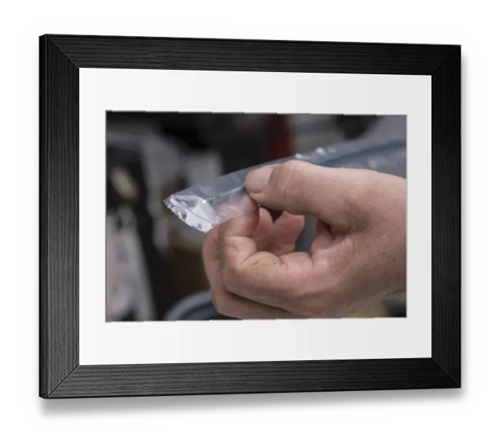 Framed Print : Cattle farming, end of embryo transfer gun, England, April Framed Print : Cattle farming, end of embryo transfer gun, England, April