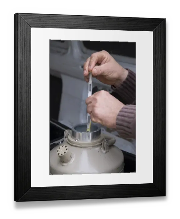 Framed Print : Cattle farming, removing straws of embryos from flask containing liquid nitrogen for embryo transfer into recipient Framed Print : Cattle farming, removing straws of embryos from flask containing liquid nitrogen for embryo transfer into recipient
