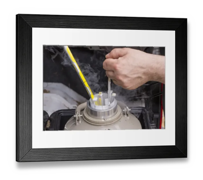 Framed Print : Cattle farming, removing straws of embryos from flask containing liquid nitrogen for embryo transfer into recipient Framed Print : Cattle farming, removing straws of embryos from flask containing liquid nitrogen for embryo transfer into recipient