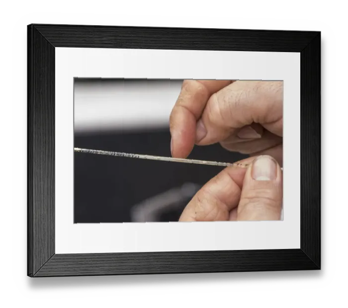 Framed Print : Cattle farming, straw containing embryo for embryo transfer to recipient cows, England, April Framed Print : Cattle farming, straw containing embryo for embryo transfer to recipient cows, England, April