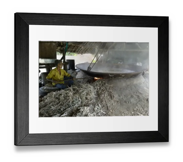 Framed Print : Sugarcane (Saccharum officinarum) crop, juice being boiled in kiln for preparing jaggary, fuel is sugarcane chaff Framed Print : Sugarcane (Saccharum officinarum) crop, juice being boiled in kiln for preparing jaggary, fuel is sugarcane chaff