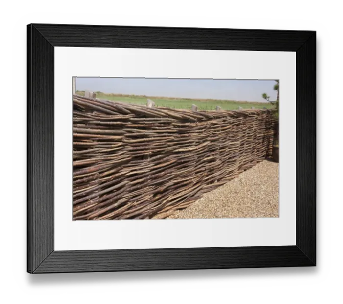 Framed Print : Traditional wattle willow-weave fence, Norfolk, England, July Framed Print : Traditional wattle willow-weave fence, Norfolk, England, July