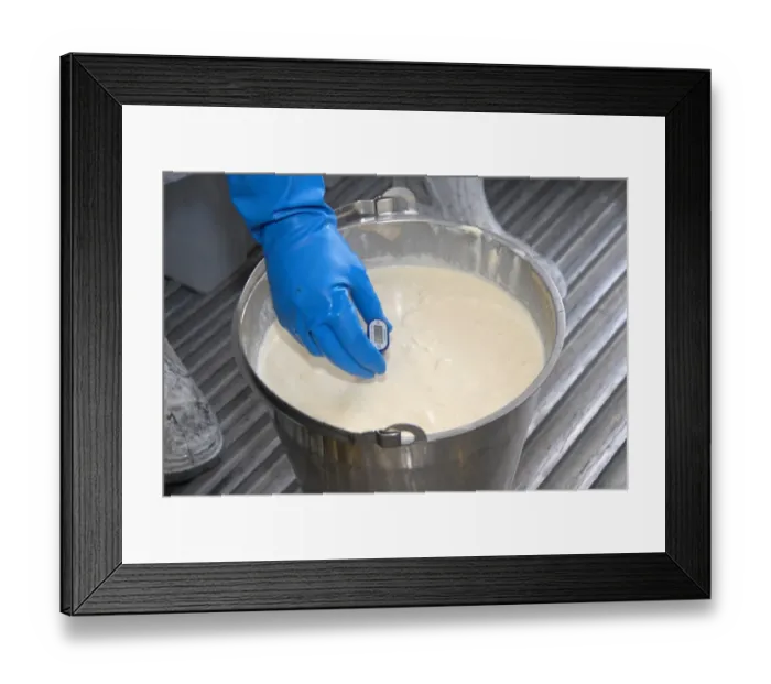 Framed Print : Worker taking temperature from bucket of cream, prior to making organically made butter from unpasteurized milk