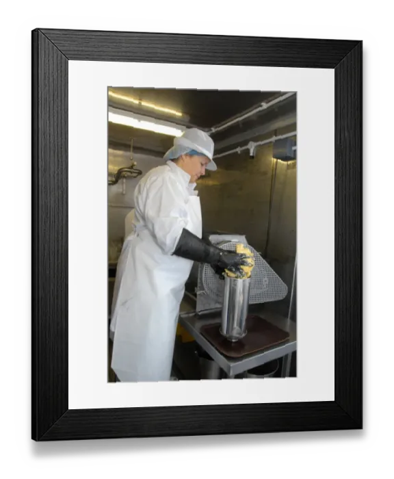 Framed Print : Worker making organically made butter from unpasteurized milk, on organic dairy farm, Hook and Son, Longleys Farm Framed Print : Worker making organically made butter from unpasteurized milk, on organic dairy farm, Hook and Son, Longleys Farm