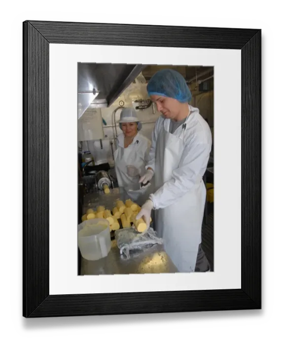 Framed Print : Workers weighing out butter patts, making organically made butter from unpasteurized milk, on organic dairy farm Framed Print : Workers weighing out butter patts, making organically made butter from unpasteurized milk, on organic dairy farm