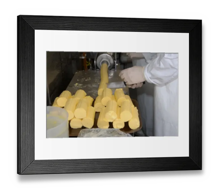 Framed Print : Worker cutting up butter patts, making organically made butter from unpasteurized milk, on organic dairy farm Framed Print : Worker cutting up butter patts, making organically made butter from unpasteurized milk, on organic dairy farm