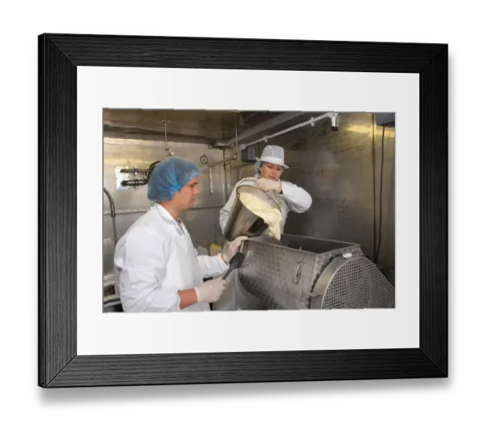 Framed Print : Workers pouring raw unpasteurized cream into churn, making organically made butter from unpasteurized milk Framed Print : Workers pouring raw unpasteurized cream into churn, making organically made butter from unpasteurized milk