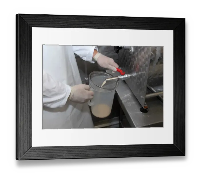 Framed Print : Worker extracting whey from churn, making organically made butter from unpasteurized milk, on organic dairy farm Framed Print : Worker extracting whey from churn, making organically made butter from unpasteurized milk, on organic dairy farm