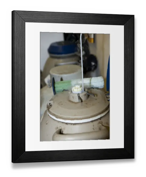 Framed Print : Dairy farming, farmer drawing semen straws from flask of liquid nitrogen to artificially inseminate dairy cow, England Framed Print : Dairy farming, farmer drawing semen straws from flask of liquid nitrogen to artificially inseminate dairy cow, England