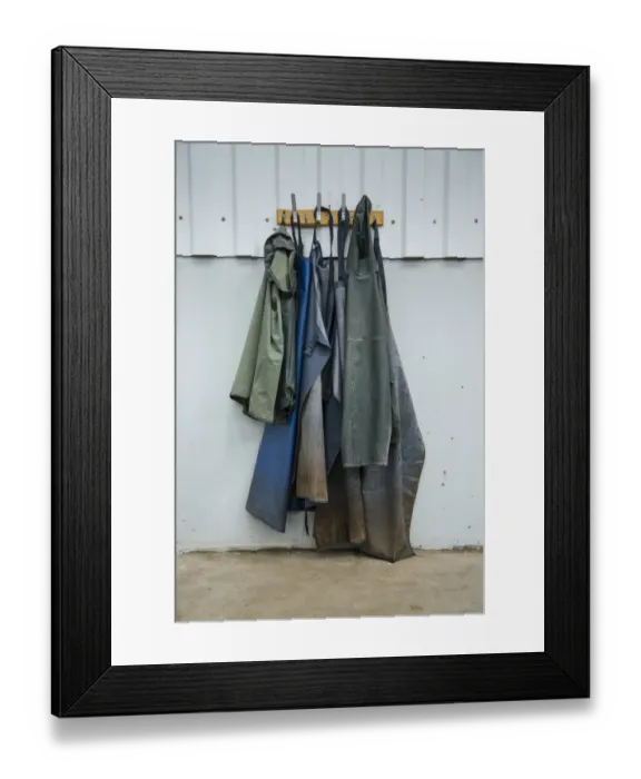 Framed Print : Dairy farming, waterproof clothing used on dairy farm, Lancashire, England, April Framed Print : Dairy farming, waterproof clothing used on dairy farm, Lancashire, England, April