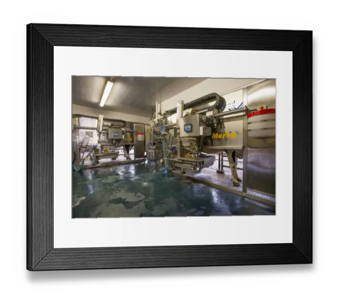 Framed Print : Dairy farming, dairy cows being milked in Fullwood Merlin robotic milking parlour, Lancashire, England, May Framed Print : Dairy farming, dairy cows being milked in Fullwood Merlin robotic milking parlour, Lancashire, England, May