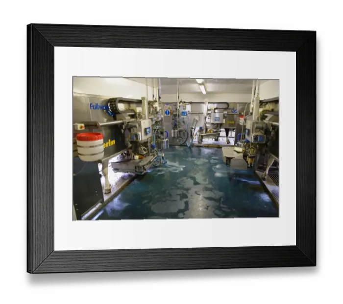 Framed Print : Dairy farming, dairy cows being milked in Fullwood Merlin robotic milking parlour, Lancashire, England, May Framed Print : Dairy farming, dairy cows being milked in Fullwood Merlin robotic milking parlour, Lancashire, England, May