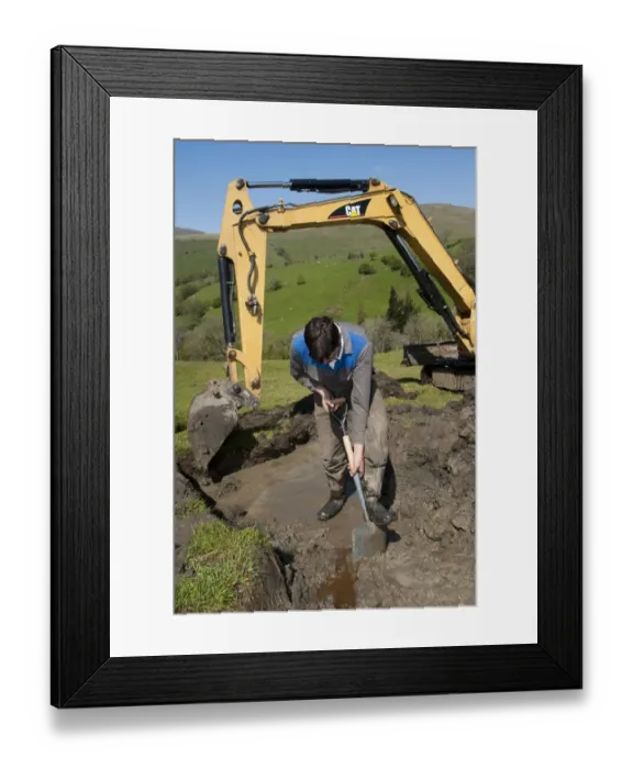 Framed Print : Farmer repairing old blocked drain in upland meadow using mini digger and spade, Cumbria, England, May Framed Print : Farmer repairing old blocked drain in upland meadow using mini digger and spade, Cumbria, England, May