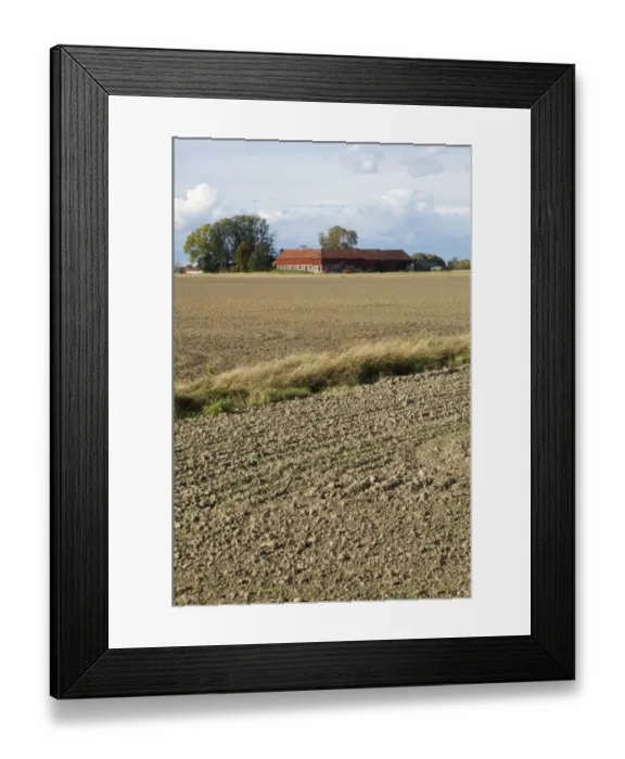 Framed Print : View of cultivated arable fields and farm buildings, Sweden, autumn