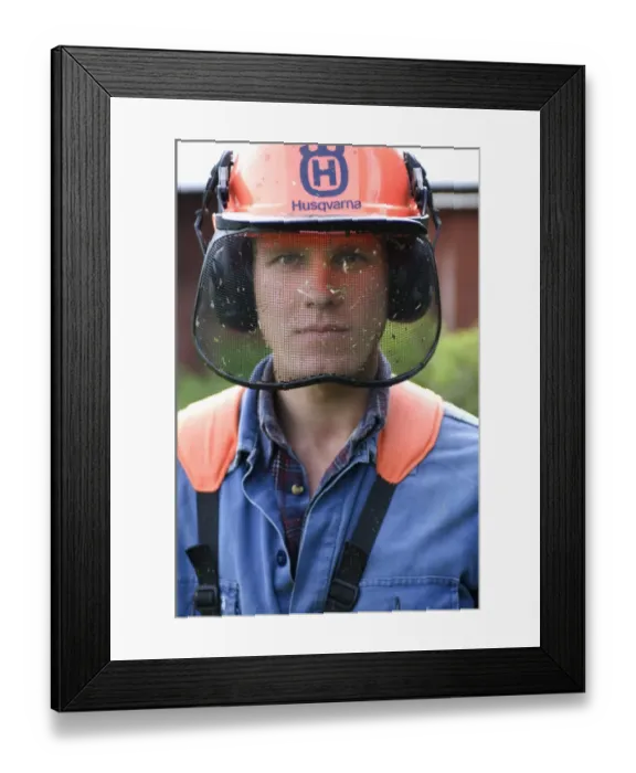 Framed Print : Man wearing protective helmet with visor and ear defenders, using strimmer on farm, Sweden