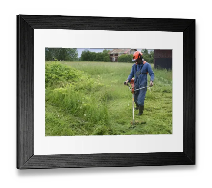 Framed Print : Man using strimmer on farm, cutting back vegetation around sheds, Sweden Framed Print : Man using strimmer on farm, cutting back vegetation around sheds, Sweden